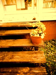 Escalier de véranda