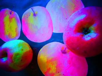 Pommes4