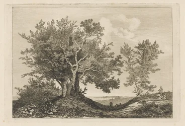 Chemin de campagne entre deux rangées d