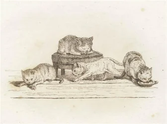 Illustration pour "Cinquante fables pour enfants" de Hey