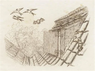 Illustration pour "Cinquante fables pour enfants" de Hey