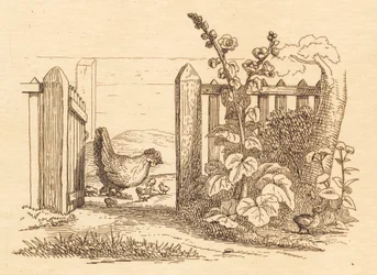 Illustration pour "Cinquante fables pour enfants" de Hey