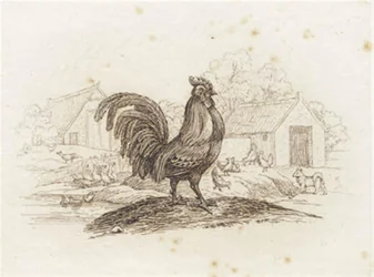 Illustration de "Cinquante fables pour enfants" de Hey