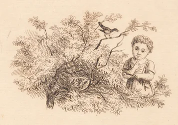 Illustration pour "Cinquante Fables pour Enfants" de Hey