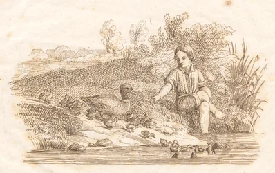 Illustration pour "Cinquante fables pour enfants" de Hey