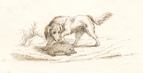 Illustration pour "Cinquante fables pour enfants" de Hey