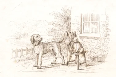 Illustration pour "Cinquante fables pour enfants" de Hey