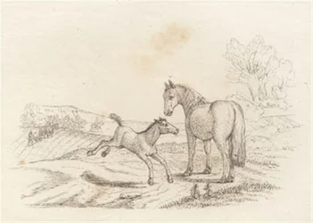 Illustration de "Halvhundrede Fabler for Børn" par Hey