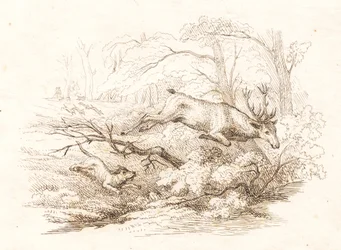 Illustration pour "Cinquante fables pour enfants" de Hey