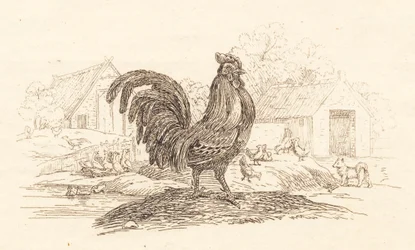 Illustration pour "Cinquante fables pour enfants" de Hey