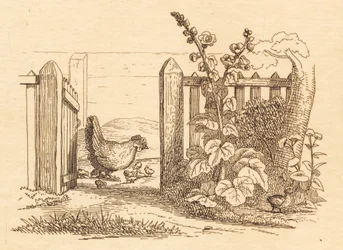 Illustration pour "Cinquante fables pour enfants" de Hey