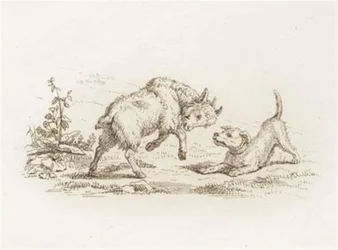Illustration pour "Cinquante fables pour enfants" de Hey