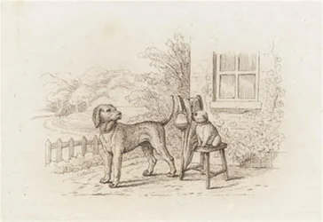 Illustration pour "Cinquante fables pour enfants" de Hey