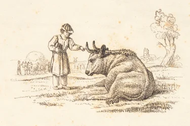 Illustration de "Halvhundrede Fabler for Børn" par Hey