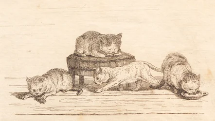 Illustration de "Cinquante fables pour enfants" par Hey