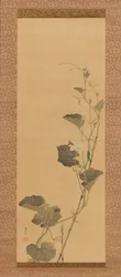 Fleurs de calebasse et coléoptère, début du 19ème siècle