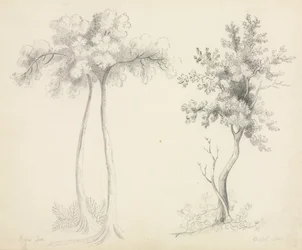 Études d
