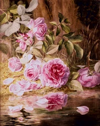 Roses de Blairie