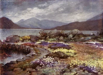 Jardins écossais : Corrour