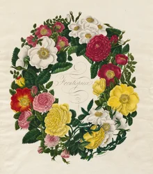 Une couronne de roses, 1799