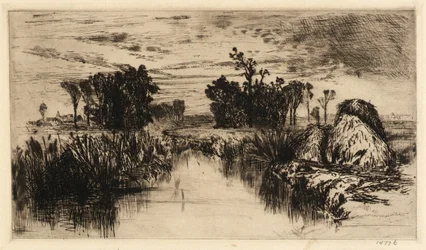 Quenouilles et arbres