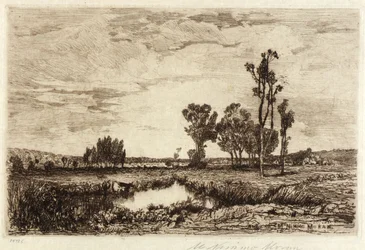 Bétail dans un étang