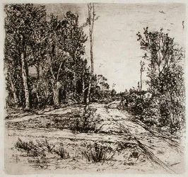 Chemins divergents
