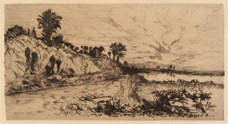 La côte de Floride