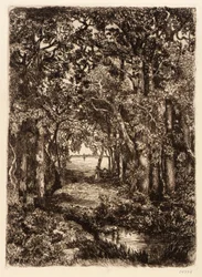 La mer à travers les bois