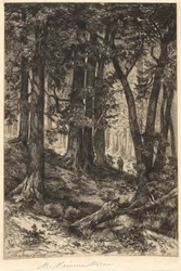 Sans titre (Scène de forêt)