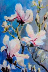 magnolias