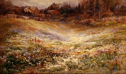Un pré dans les Alpes