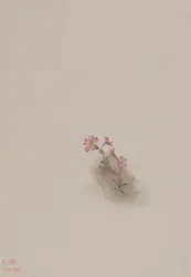Sans titre--Étude de fleurs