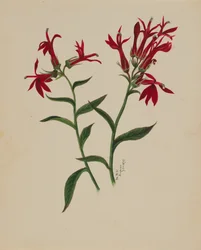 Sans titre - Étude de fleurs, 1876