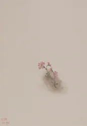 Sans titre - Étude de fleurs, 1936