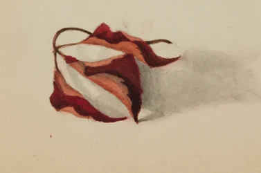 Sans titre (Feuilles d