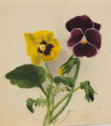 Sans titre (Pensées)
