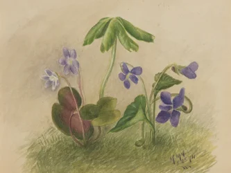 Sans titre, 1874