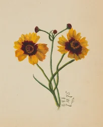 Sans titre, 1875
