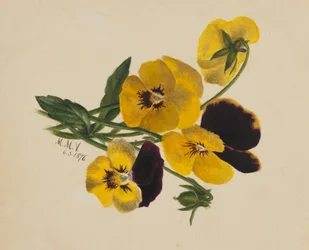 Pensées sans titre, 1876