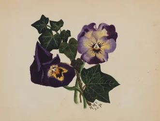 Sans titre Pensées et Lierre, 1876