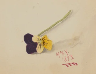 Pensée sans titre, 1873