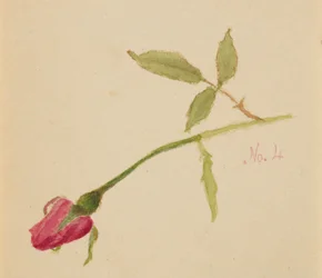 Sans titre Rose, 1872