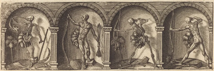 Les divers pourtraicts et figures VII