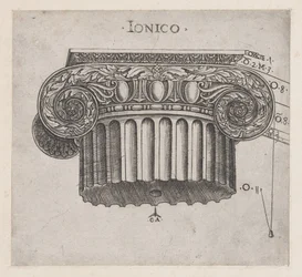 Speculum Romanae Magnificentiae : Chapiteau ionique, vers 1537