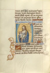Lactanes vierges
