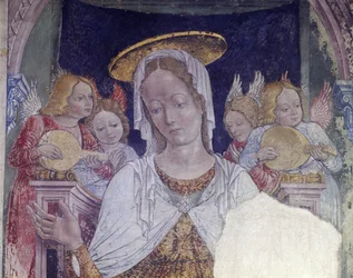 Fresque dans la chapelle de la Basilique de Santa Maria Assunta