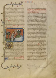 La création des oiseaux et des poissons