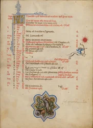 Un homme qui fait tomber des glands d