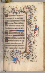 Heures de Charles le Noble, roi de Navarre (1361-1425) : fol. 216r, Texte